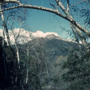 Mission Creek