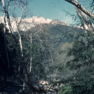 Mission Creek