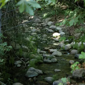 Mission Creek