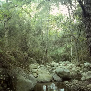 Mission Creek