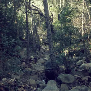 Mission Creek