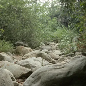 dry creek bed, Mission Creek