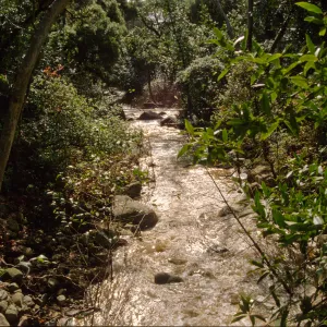 Mission Creek