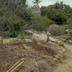 the Desert Mound, in progress