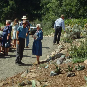 Dudleya Display Dedication