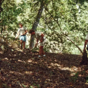 Preparing Ethnobotanical Display area