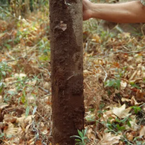 Old Original Irrigation Pipe