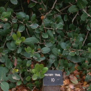 History Trail Marker 