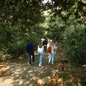 SBBG Garden tour