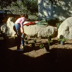 SBBG Home Demonstration Garden construction
