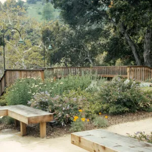 Home Demonstration Garden