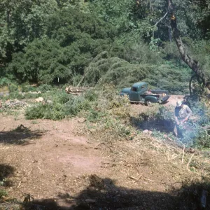 Clearing the new Island Section