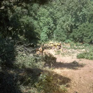 clearing the new Island Section