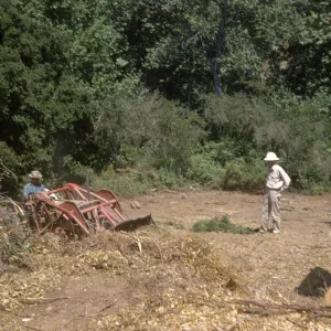 Clearing the new Island Section