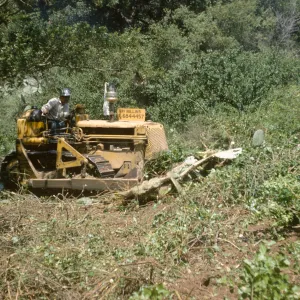 Clearing the new Island Section