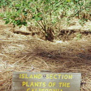 Signage for Island Section