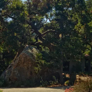 Blaksley Boulder