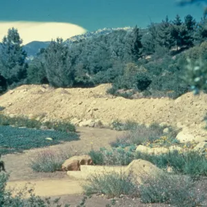 East side of Meadow during construction of the parking lot, 1940s