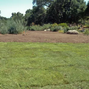 Lawn installation