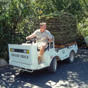 Dave Kershaw moving sod for the new lawn installation with the Taylor Truck