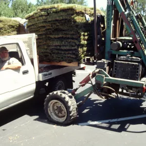 tractor unloading sod for the new Meadow lawn Installation