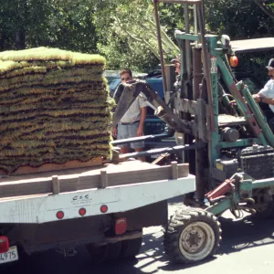tractor unloading sod for the new Meadow lawn Installation