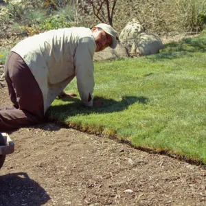 new Meadow Lawn installation