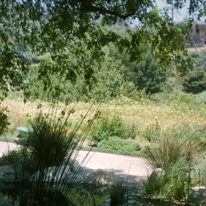 Pond, looking to meadow