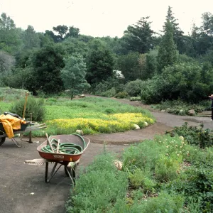 gardener in the Meadow