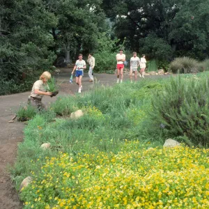 gardener, planting in the Meadow, visitors