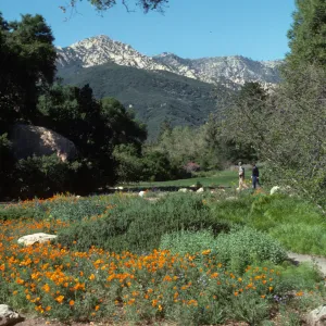 lower Meadow, looking north to La Cumbre Peak