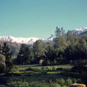 snow on the Santa Ynez Mountains, above the Meadow