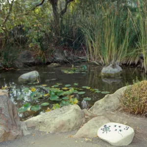 SBBG Pond with 'Nature Loves A Detective' signage