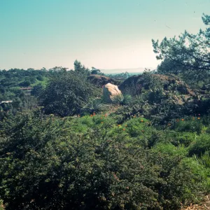 Porter Trail looking south