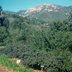 Porter Trail