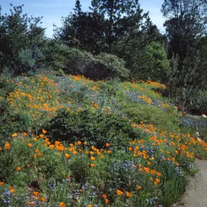 Spring on the Porter Trail