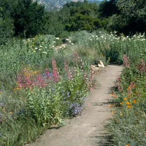 Porter Trail