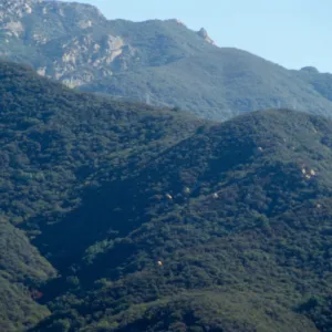 Santa Ynez Mountains from the Porter Trail