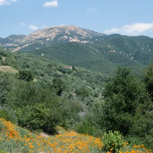 Porter Trail looking toward mountains