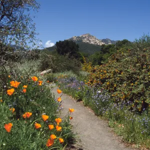 Spring on the Porter Trail
