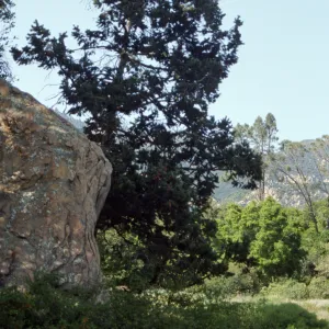 Blaksley Boulder