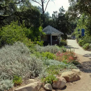 Groundcover display and Entrance Kiosk, ©Marie Gayeski