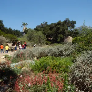 children, school tour, Groundcover Display and Desert Section near entrance, © Marie Gayeski