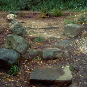 stone steps into Island Section with signage and Mimulus 