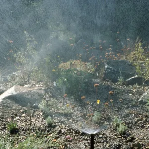 above ground sprinkler, mister in the Garden
