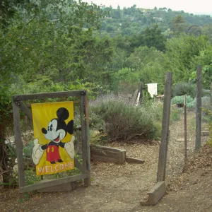Children's Garden at SBBG