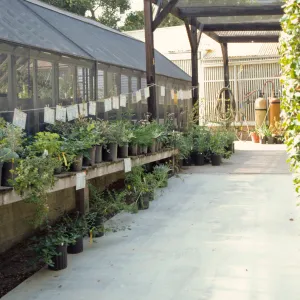 Garden Growers Nursery