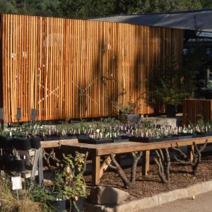 Garden Growers Nursery