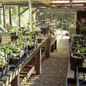 Garden Growers Nursery