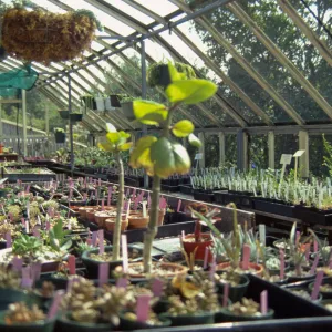 Garden Growers Nursery